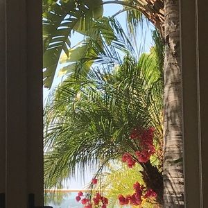 Meet your Posher, Sherry